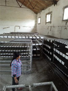 武漢安德裝飾材料廠攜手阿土伯網，開啟建筑裝飾材料熱賣促銷盛宴